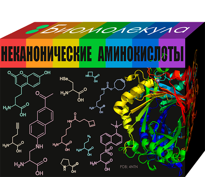 Биомолекула. Неканонические аминокислоты. Биомолекулы. Биомолекулы биохимия. Биомолекулы лекарства.