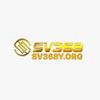 sv368yorg org