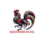 ĐÁ GÀ THOMO KEETINHUIS