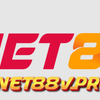 Net 88
