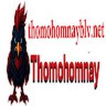 THOMO HOMNAY