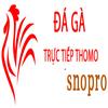 Đá Gà Trực Tiếp Thomo Hôm Nay