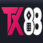 TX88 Investment