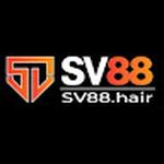 SV88