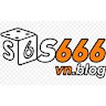 S666 VN