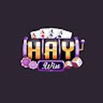HAYWIN