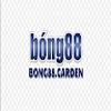 Nhà Cái Bong88