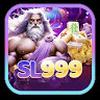 Sl999 dev