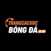 Trang Cá Cược Bóng Đá Uy Tín – Trải Nghiệm Thể Thao Đỉnh Ca