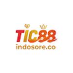 TIC88