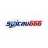 soicau666 cfd