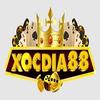 XÓC ĐĨA 88