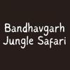 BDG Safari