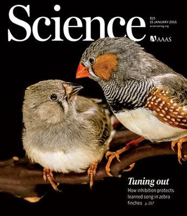 SciNat за январь 2016 #3: первые люди в Арктике, наследуемые свойства микробиома и нейробиологические основы обучения пению