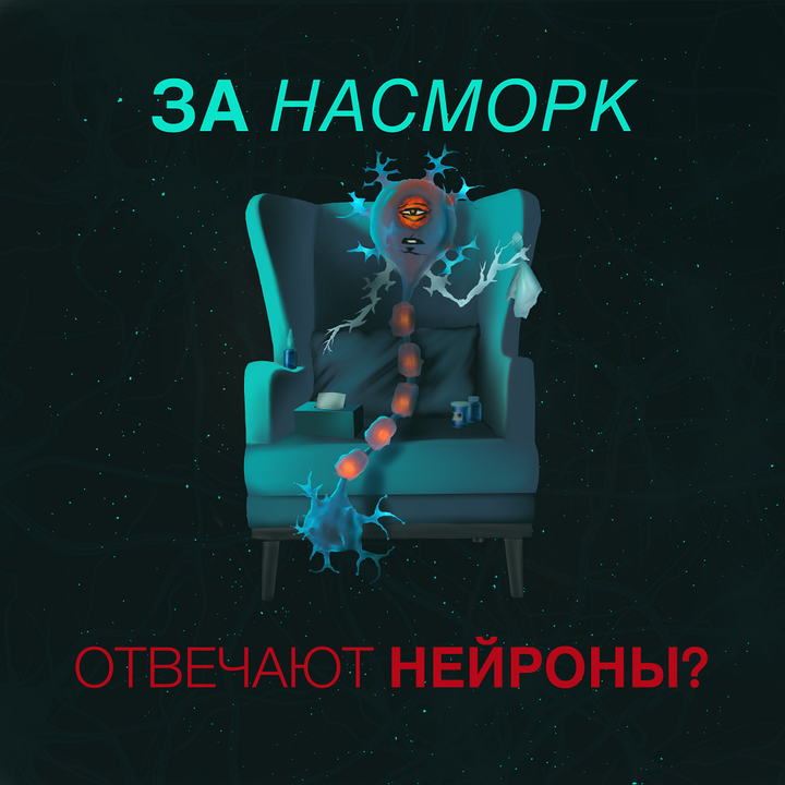 За насморк отвечают нейроны