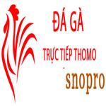 Đá Gà Trực Tiếp Thomo Hôm Nay