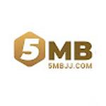 5MB