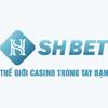 SHBET – Uy tín vững bền, cơ hội vô t