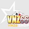 Vnz6 shop