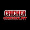 Crickex – Leading Sports Betting