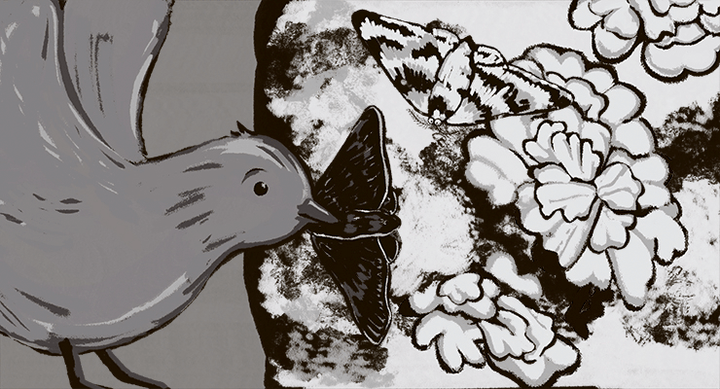 Белое и черное