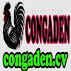CONGADEN CON GÀ ĐEN CV