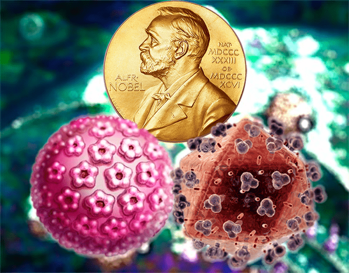 Нобелевскую премию 2008 года по физиологии и медицине вручили за вирусологические исследования
