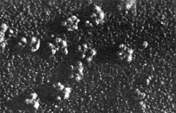 Чтение молекулярных отпечатков