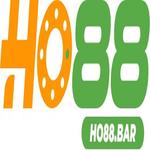 Ho88