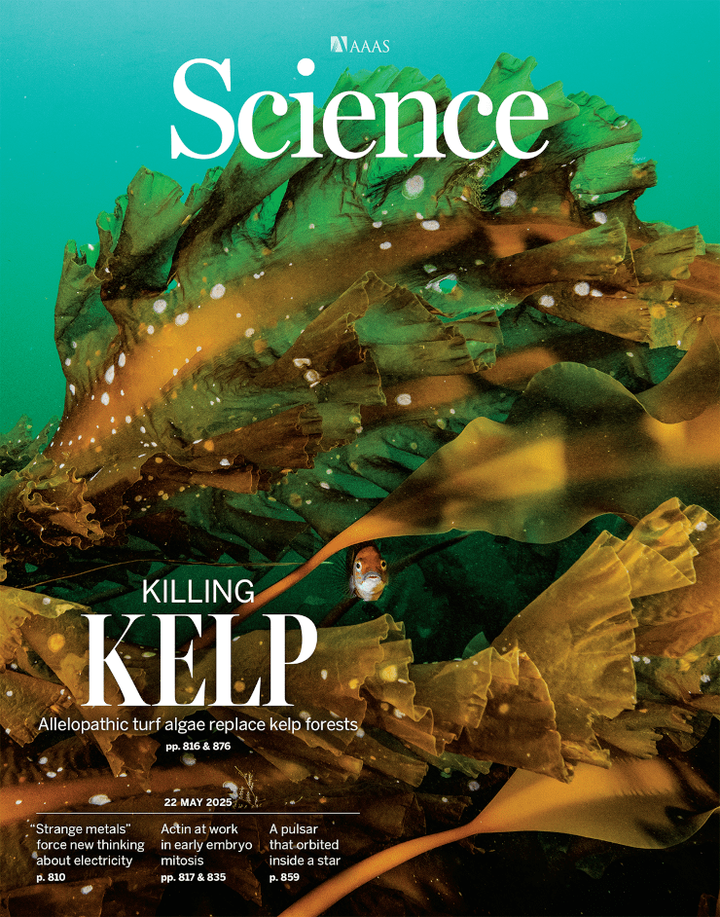 SciNat за май 2025 #4: рыбы-клоуны, зубы-сенсоры, ИК-линзы