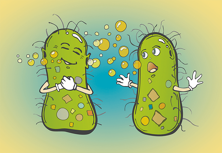 Бактерии, молчать! Как и зачем вносить помехи в межклеточное общение