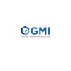 GMI INC