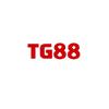 TG88 Surf