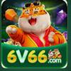 6v66 bet