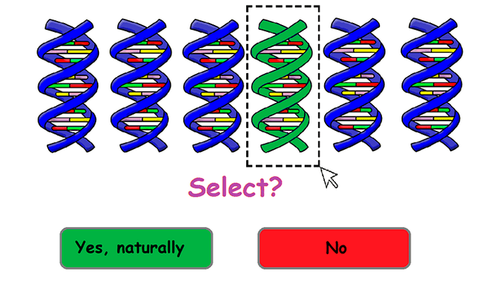 Как понять, что ваши гены отбирают?