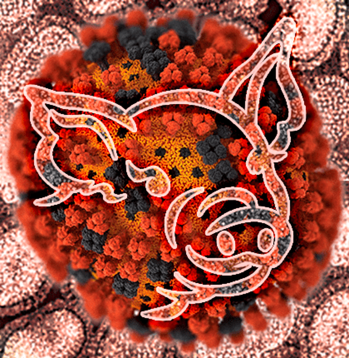 Уроки свиного гриппа