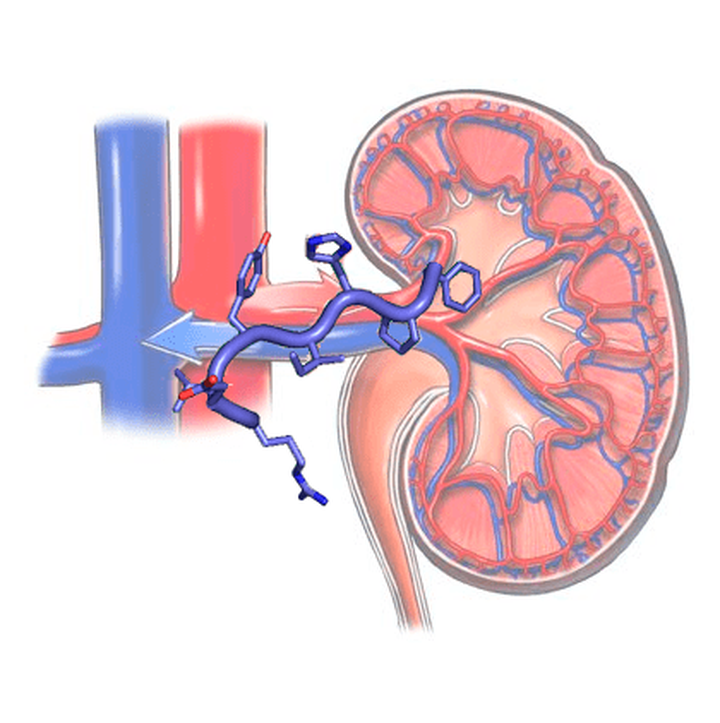 Прививка против повышенного кровяного давления