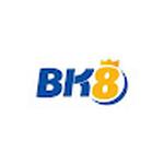 BK8 HUD