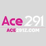 Ace291