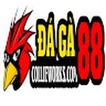 DAGA88 ĐÁ GÀ 88