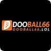 DOOBALL66