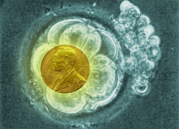 «За экстракорпоральное оплодотворение» — это не тост, а Нобелевская премия!