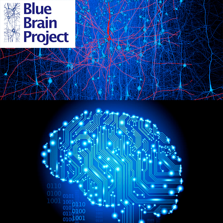 Brain project. Голубой мозг. Проект голубой мозг. Голубой мозг искусственный интеллект. Вычислительная нейробиология.