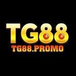 Nhà cái TG88