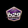 B29 us org