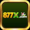 877x br com