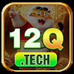 12Q tech