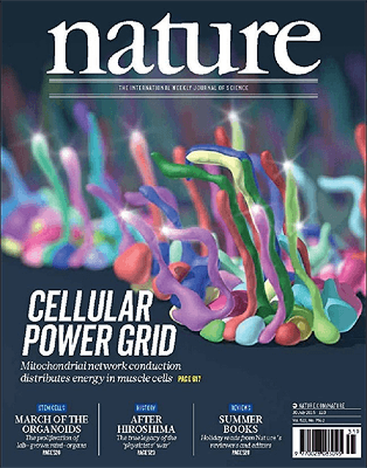 SciNat за август 2015 #1: органика кометы Чурюмова-Герасименко, внутриклеточные лазеры и робо-водомерка