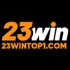 23wintop1 com