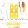 SN88